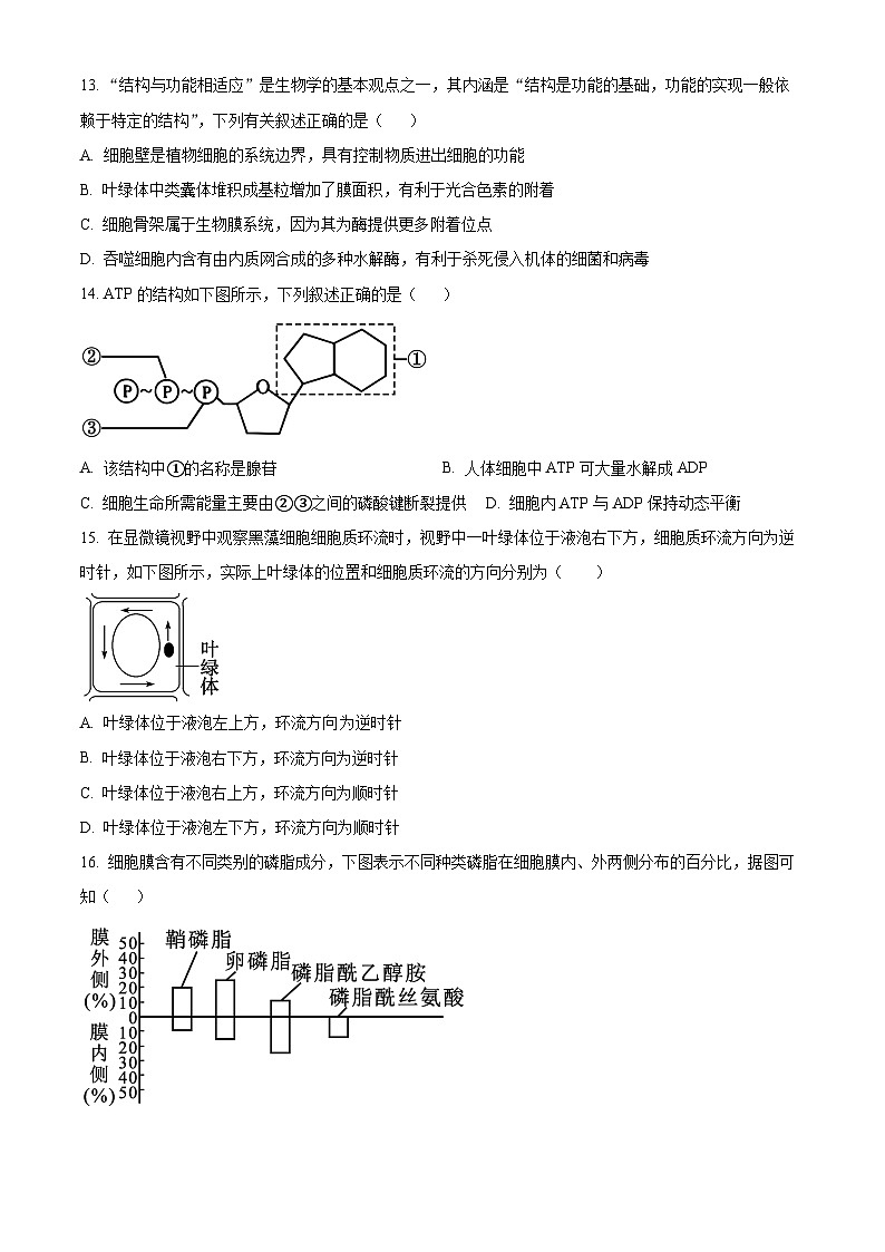 浙江省台金七校联盟2024-2025学年高一上学期期中联考生物试题 Word版无答案第3页