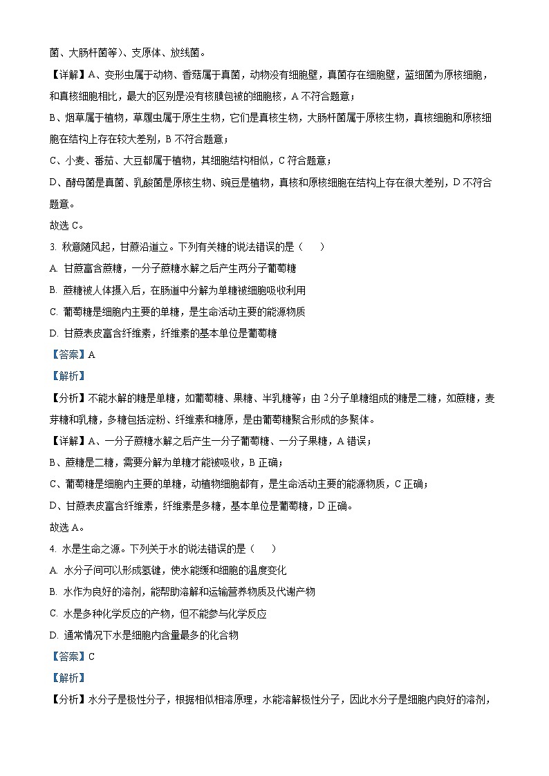 浙江省台金七校联盟2024-2025学年高一上学期期中联考生物试题 Word版含解析第2页