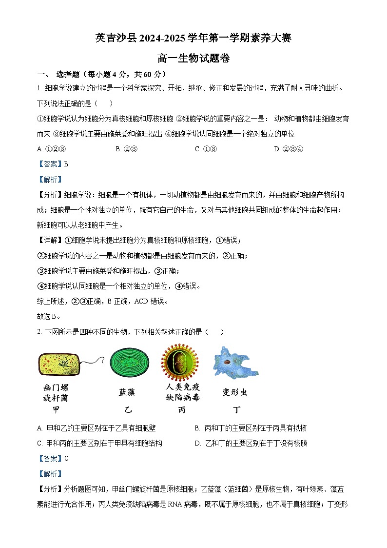 新疆维吾尔自治区喀什地区英吉沙县2024-2025学年高一上学期11月期中生物试题(解析版)-A4第1页