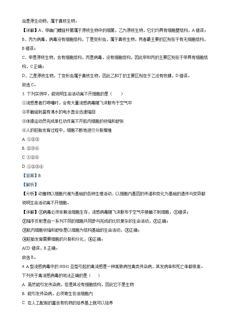 新疆维吾尔自治区喀什地区英吉沙县2024-2025学年高一上学期11月期中生物试题(解析版)-A4第2页