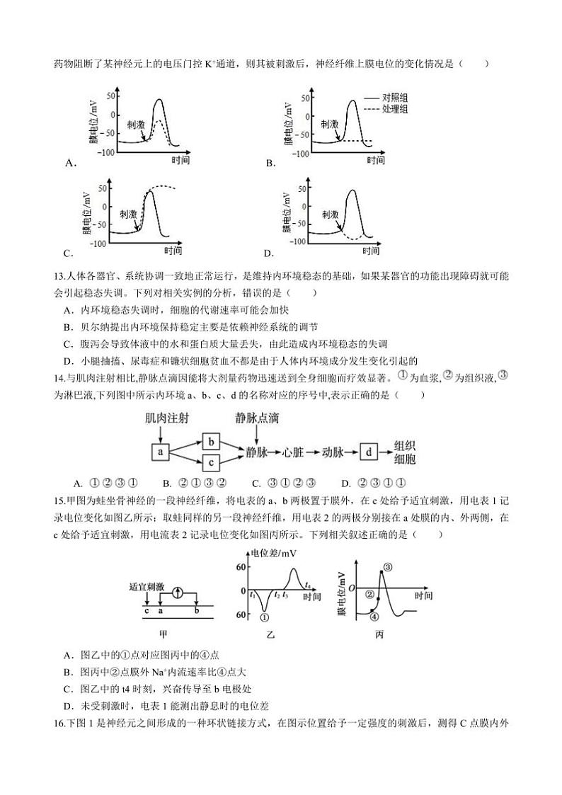 2024~2025学年福建省福州市长乐第一中学高二(上)11月月考生物试卷(含答案)第3页