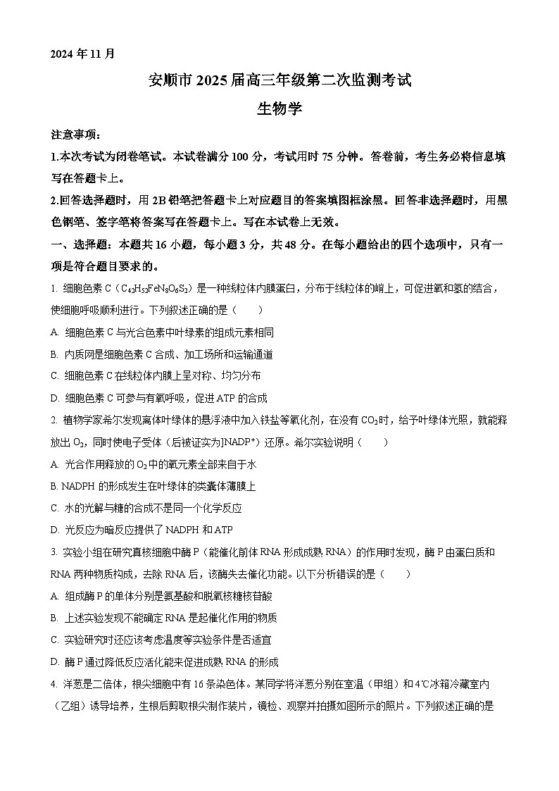 贵州省2024-2025学年高三上学期11月期中生物试题 Word版无答案第1页