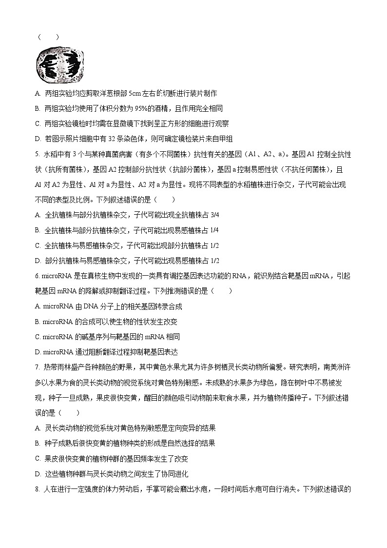 贵州省2024-2025学年高三上学期11月期中生物试题 Word版无答案第2页