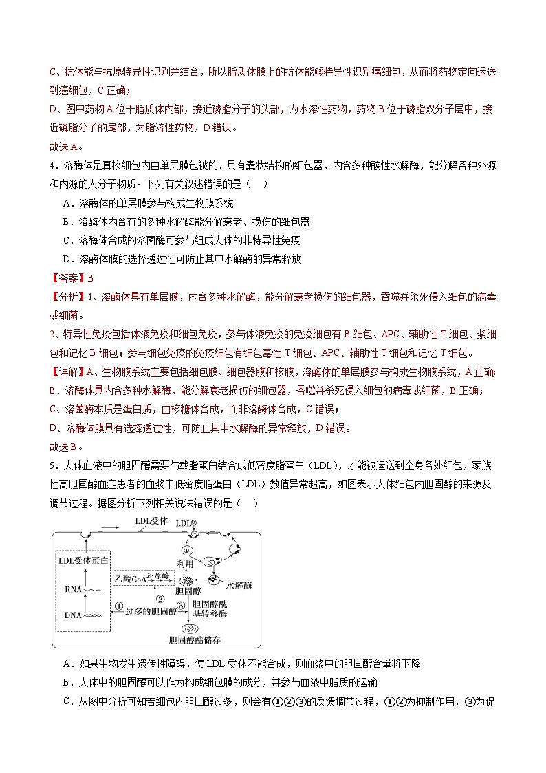 2025年新高考生物一轮复习第2单元细胞的结构、功能和物质运输(测试)(教师版)第3页