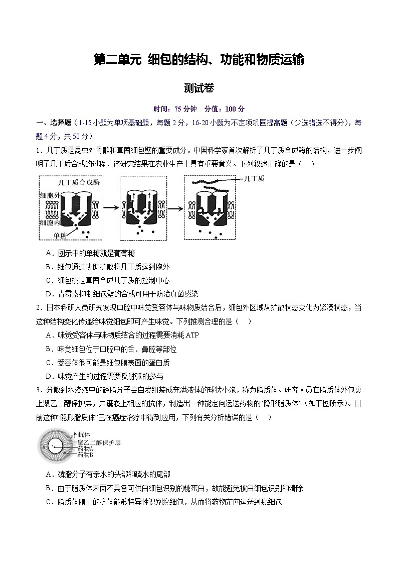 2025年新高考生物一轮复习第2单元细胞的结构、功能和物质运输(测试)(学生版)第1页