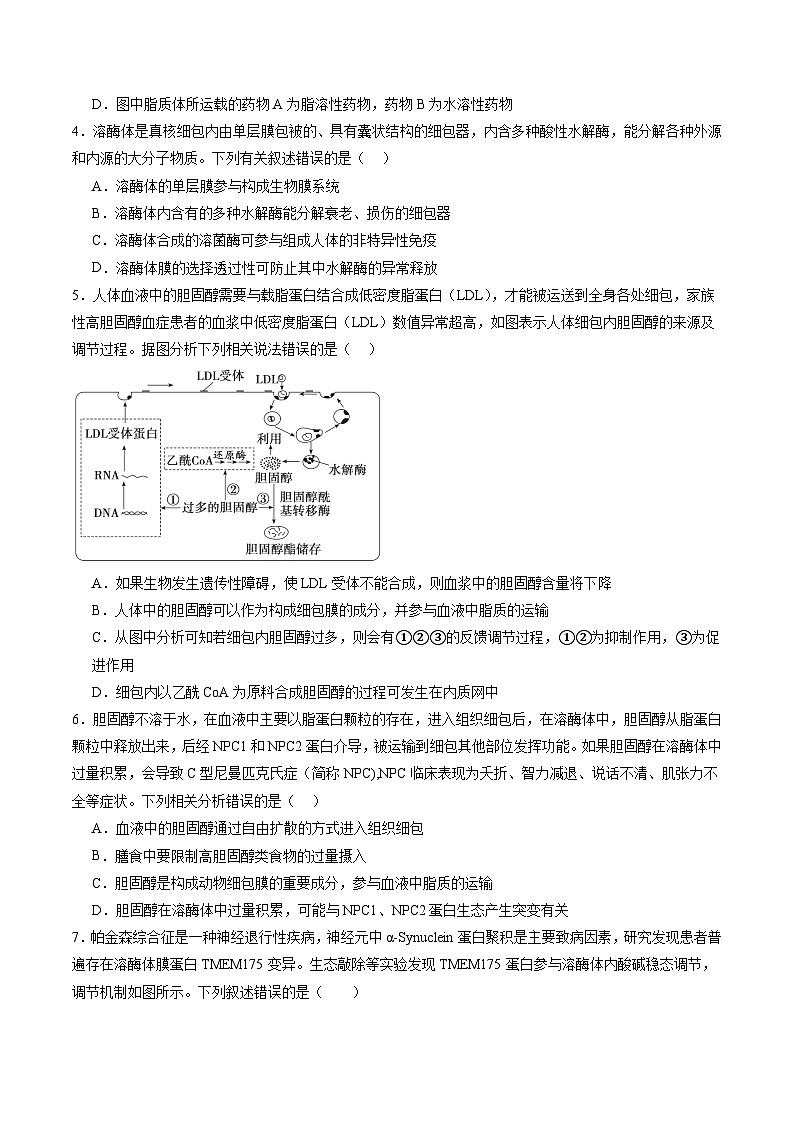 2025年新高考生物一轮复习第2单元细胞的结构、功能和物质运输(测试)(学生版)第2页