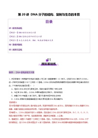 2025年新高考生物一轮复习第6单元遗传的分子基础第20讲DNA分子的结构、复制与基因的本质(练习)(学生版+教师版)