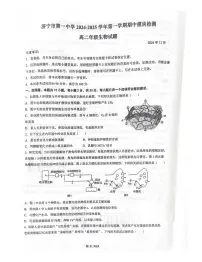 山东省济宁市第一中学2024-2025学年高二上学期期中考试生物试题