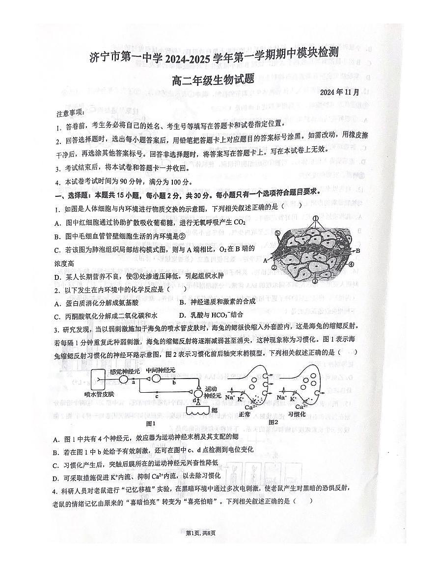 山东省济宁市第一中学2024-2025学年高二上学期期中考试生物试题第1页