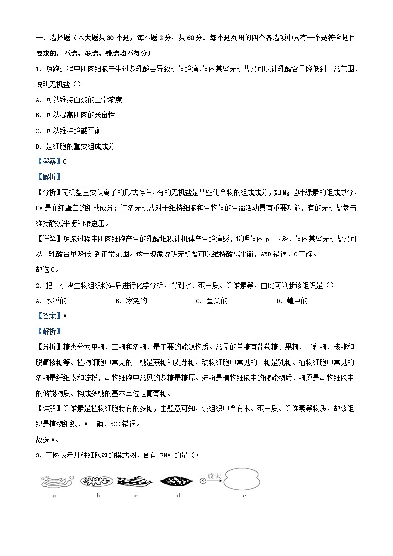 浙江省杭州市2023_2024学年高一生物上学期期中试题含解析第1页