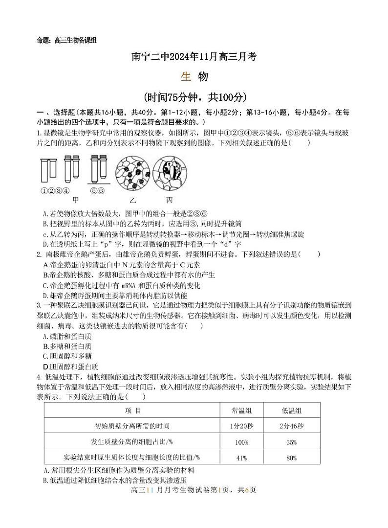 生物丨广西壮族自治区南宁市第二中学2025届高三上学期11月月考生物试卷及答案第1页