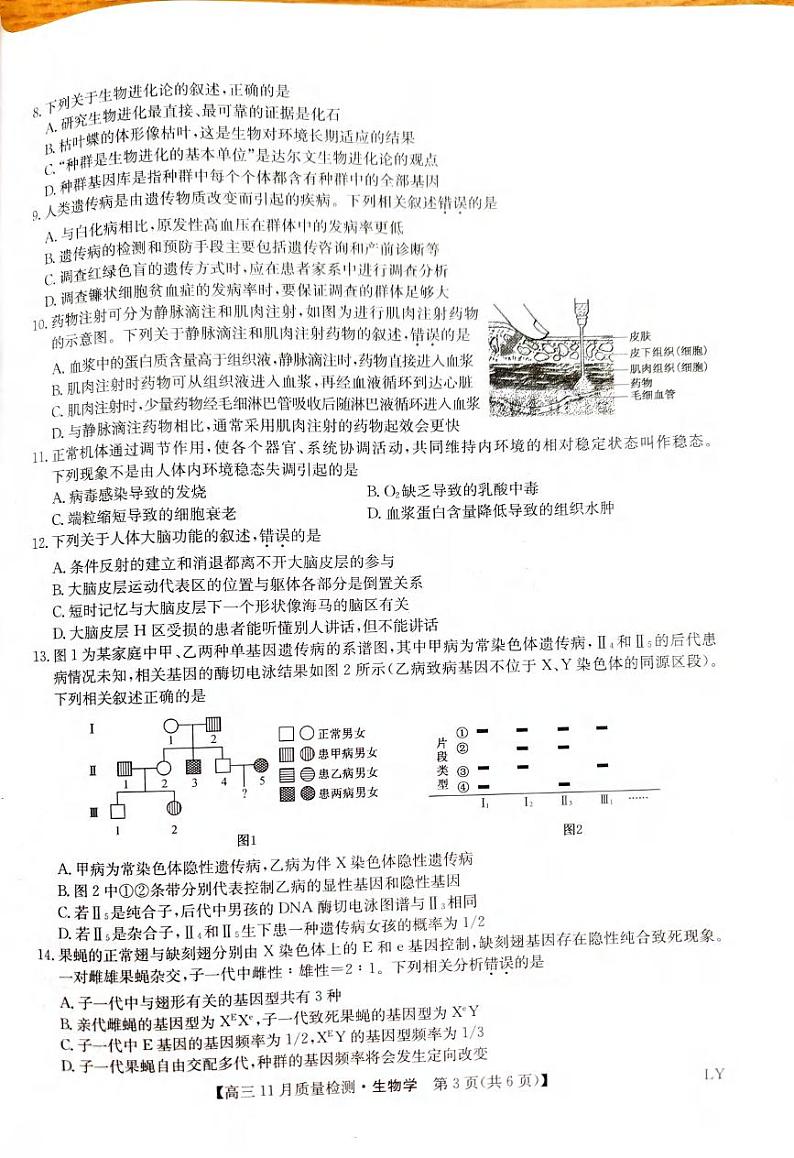 生物丨九师联盟2025届高三上学期11月教学质量监测联考生物试卷及答案第3页