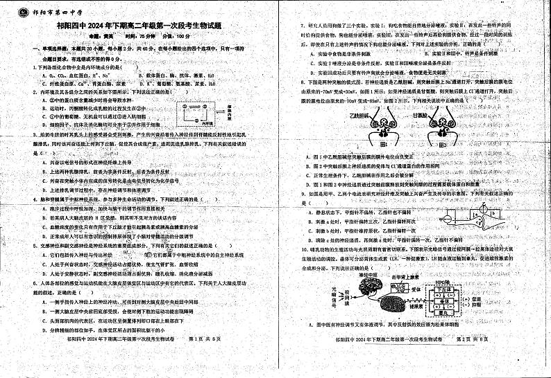 湖南省永州市祁阳县第四中学2024-2025学年高二上学期10月考试生物试题第1页