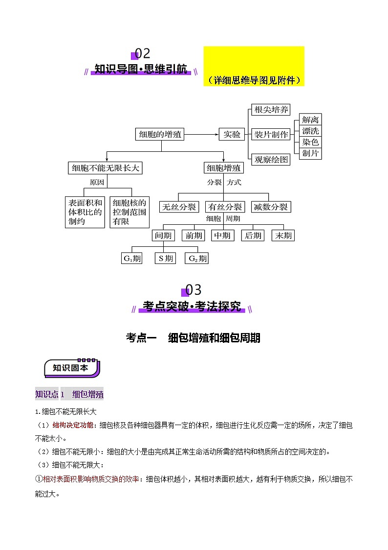 2025年新高考生物一轮复习第4单元细胞的生命历程第12讲细胞增殖(讲义)(教师版)第3页