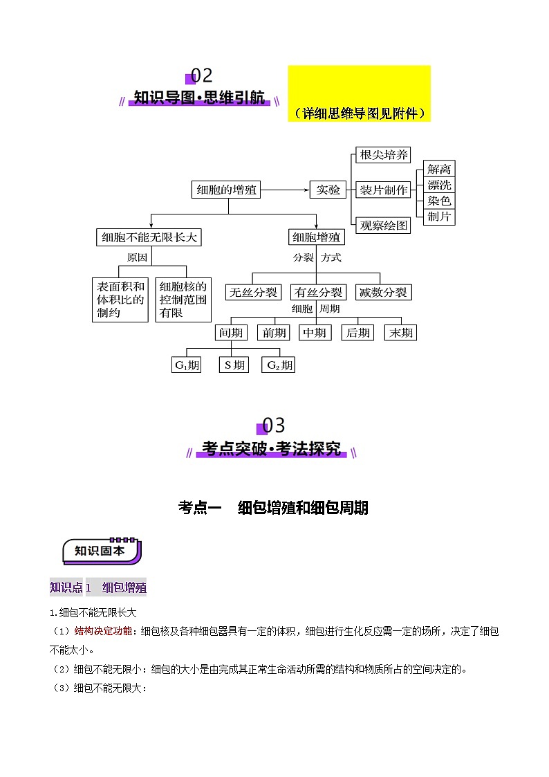 2025年新高考生物一轮复习第4单元细胞的生命历程第12讲细胞增殖(讲义)(学生版)第3页