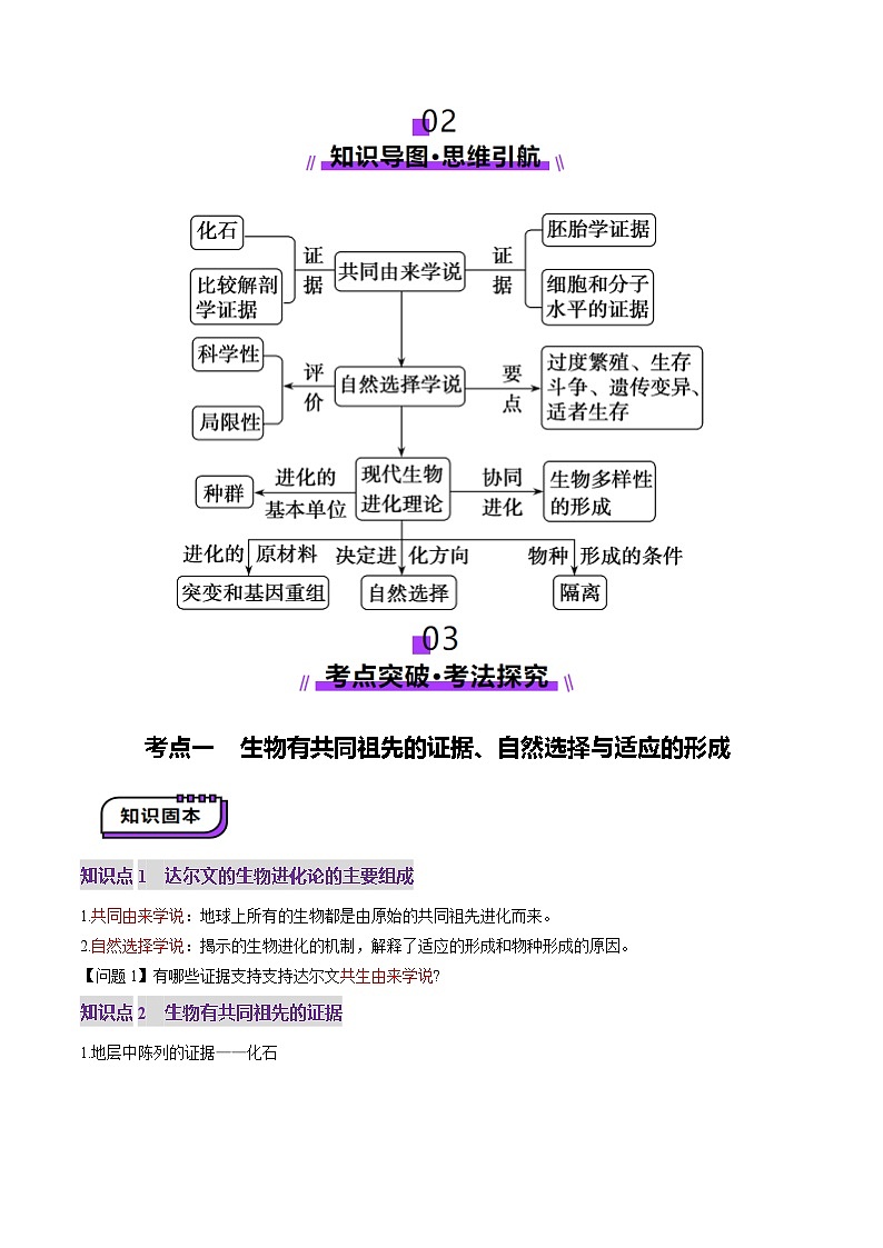 2025年新高考生物一轮复习第7单元生物的变异和进化第23讲生物的进化(讲义)(学生版)第3页