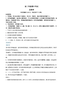 2025保定定州高二上学期11月期中考试生物含解析