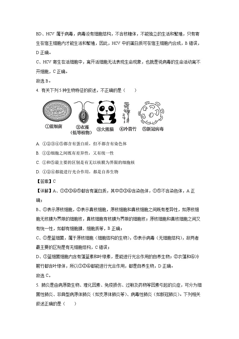 2024~2025学年湖北省孝感高级中学高一(上)开学生物试卷(解析版)第3页
