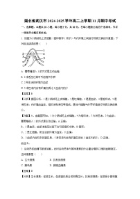 湖北省武汉市2024-2025学年高二(上)11月期中考试生物试卷（解析版）