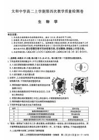 安徽省阜阳市太和县太和中学2024-2025学年高二上学期12月月考生物试题