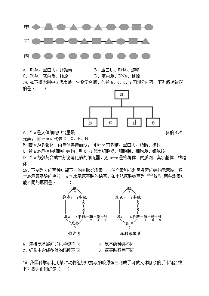 2024-2025学年第一学期高一期中六校联考(生物试卷 核定稿)第3页