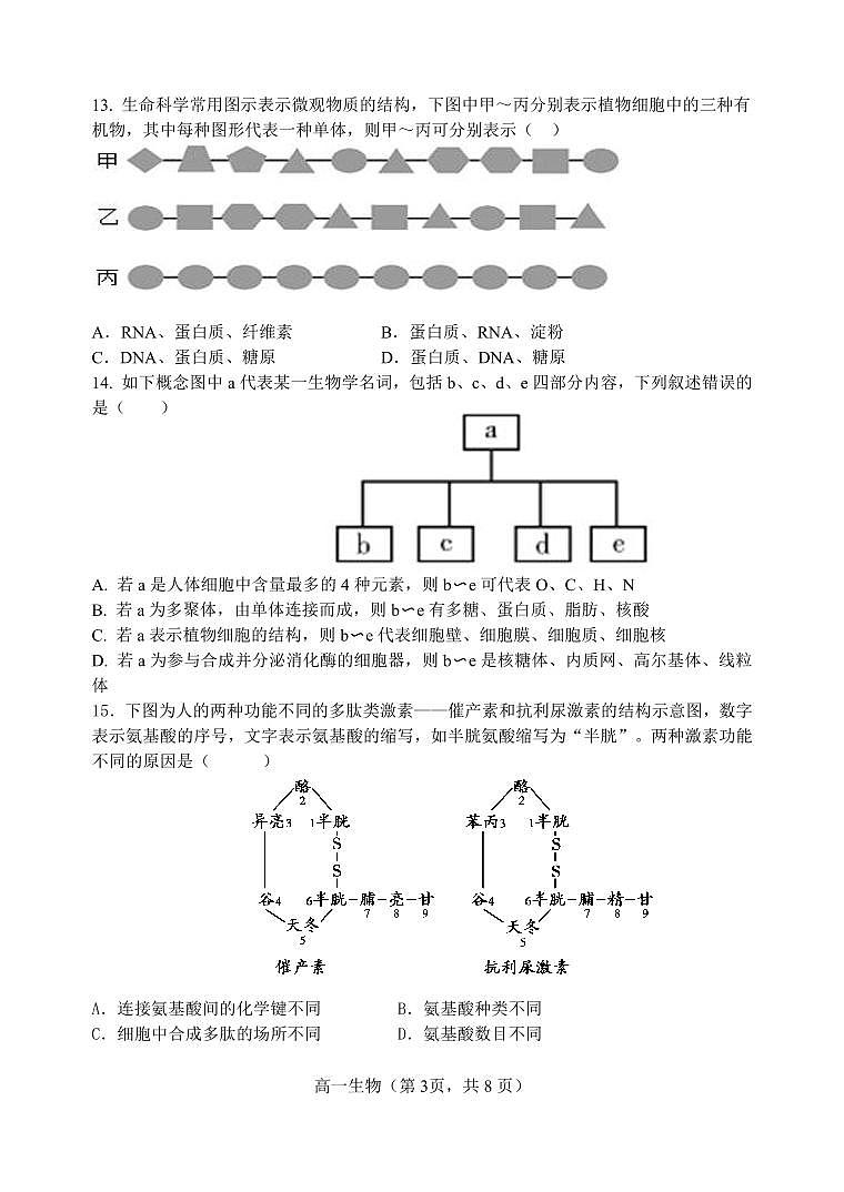 2024-2025学年第一学期高一期中六校联考(生物试卷 核定稿)第3页