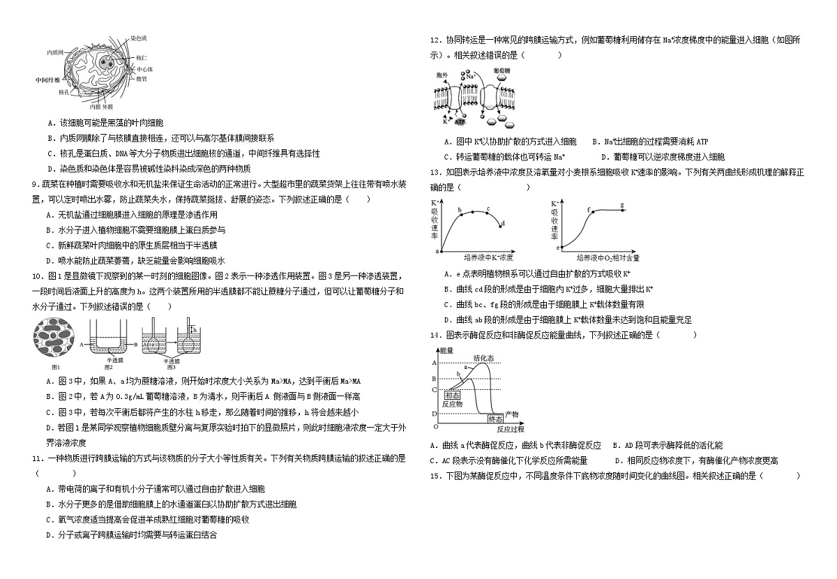 黑龙江省双鸭山第一中学2024-2025学年高一上学期月考生物试卷第2页