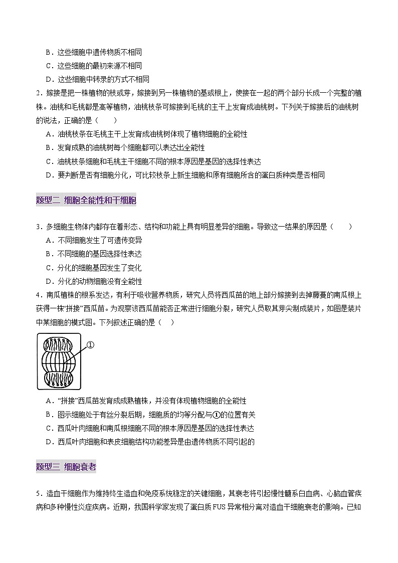 第14讲 细胞的分化、衰老、死亡和癌变(练习)(原卷版)第2页