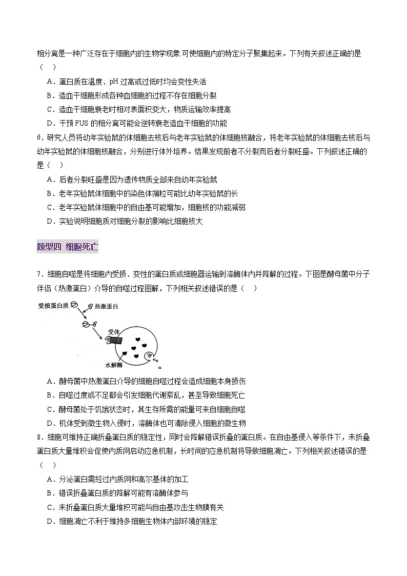 第14讲 细胞的分化、衰老、死亡和癌变(练习)(原卷版)第3页