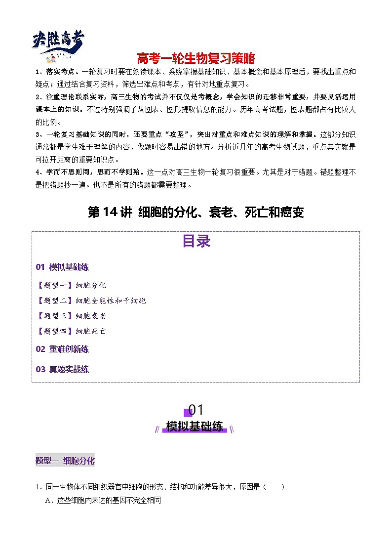 第14讲 细胞的分化、衰老、死亡和癌变(练习)(解析版)第1页