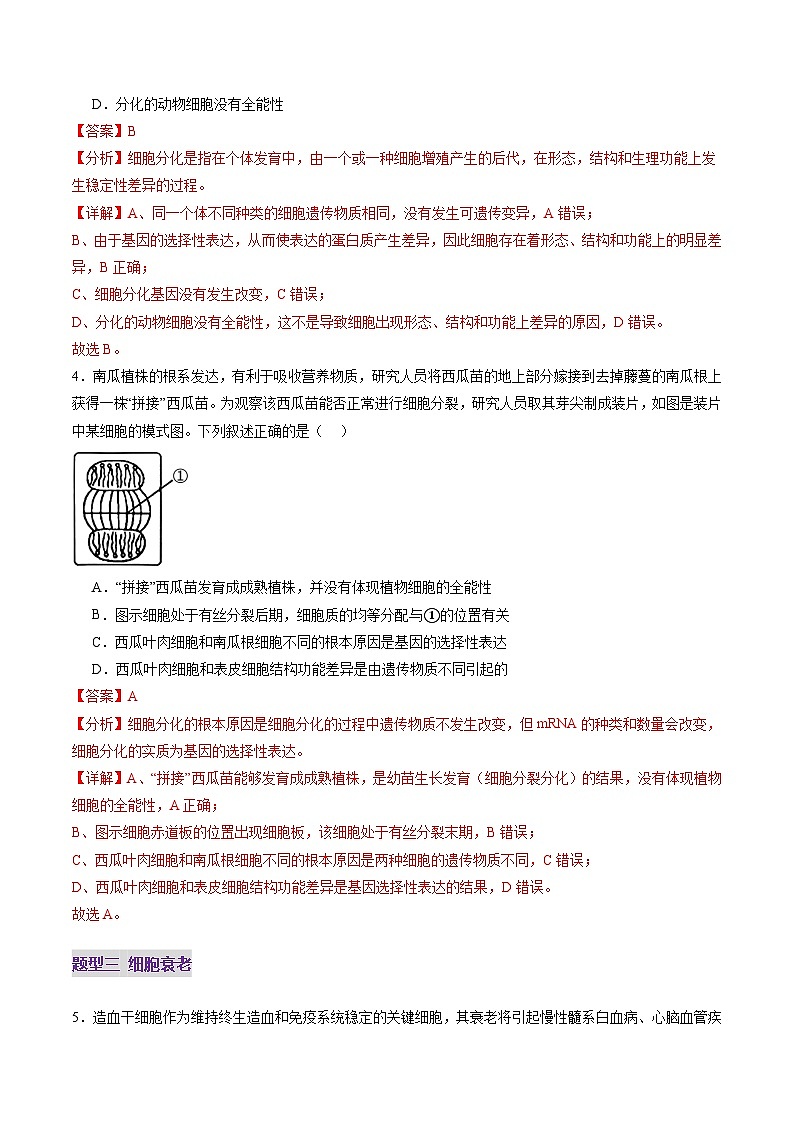 第14讲 细胞的分化、衰老、死亡和癌变(练习)(解析版)第3页
