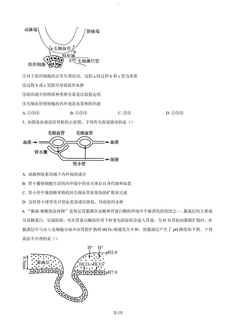 2024~2025学年安徽省合肥市六校联盟高二(上)期中生物试卷(含答案)第2页