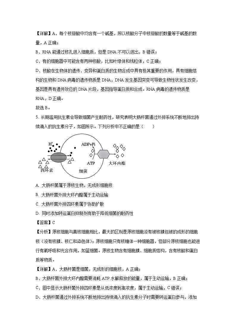 河南省开封市五县联考2023-2024学年高一(上)12月联考生物试卷(解析版)第3页