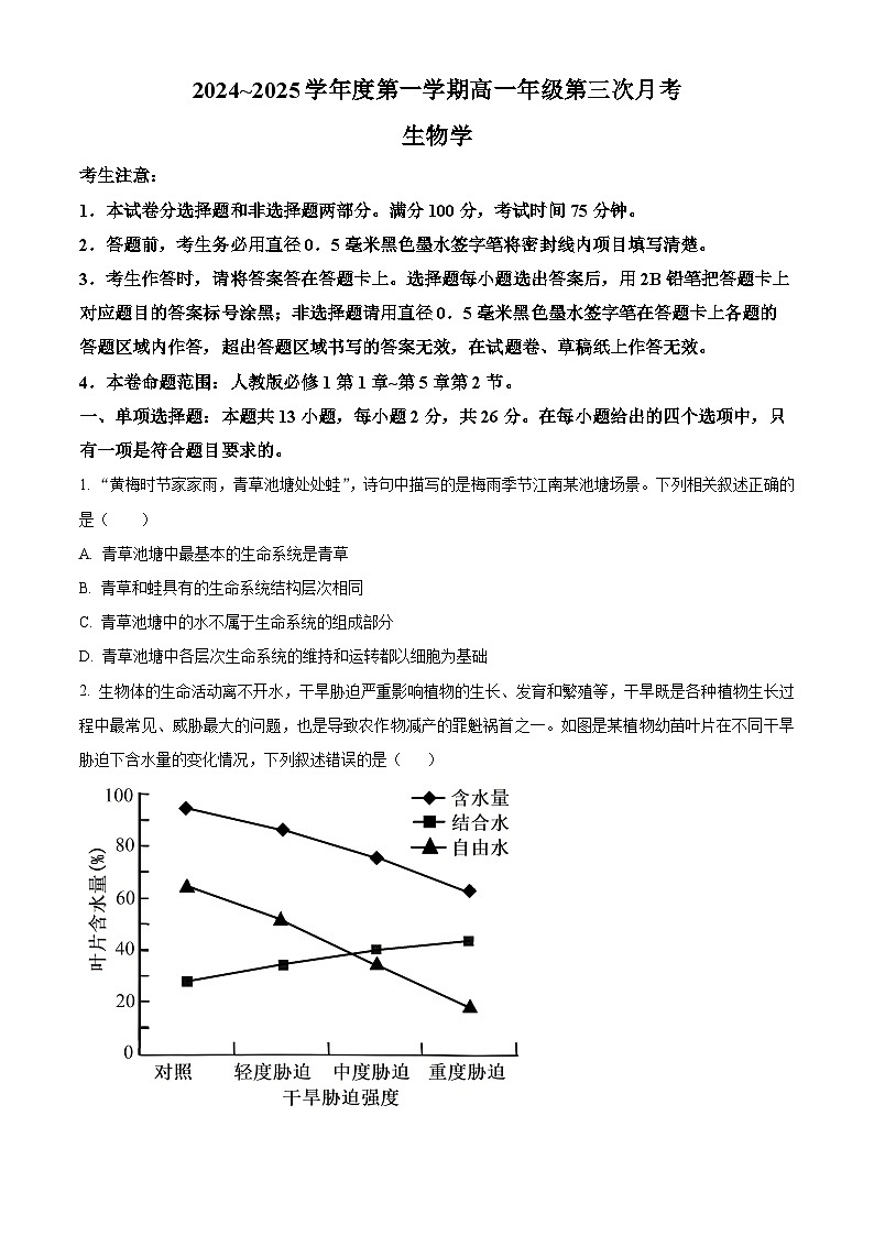 河北省沧州市四县联考2024-2025学年高一上学期11月月考生物试题 Word版无答案第1页