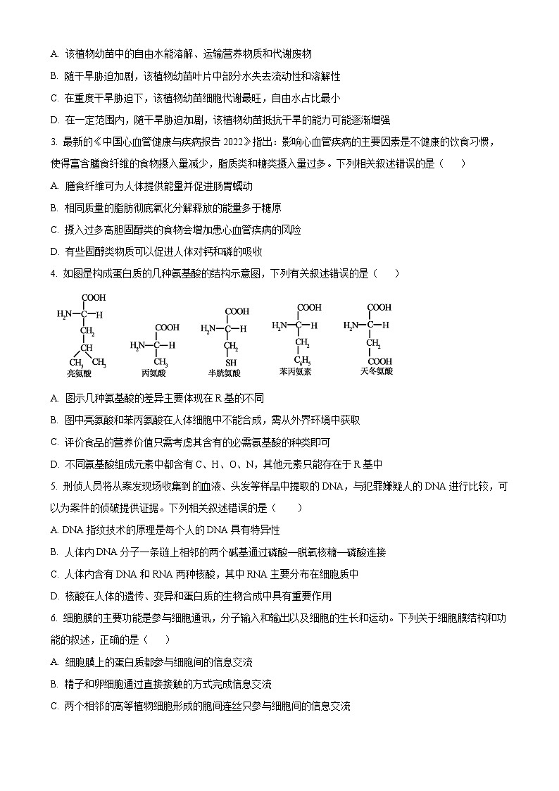 河北省沧州市四县联考2024-2025学年高一上学期11月月考生物试题 Word版无答案第2页