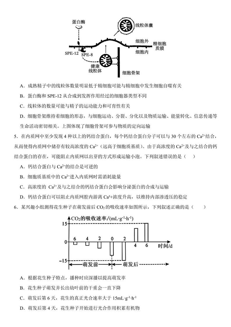 2024~2025学年福建省南平市高三(上)月考生物试卷(含答案)第2页