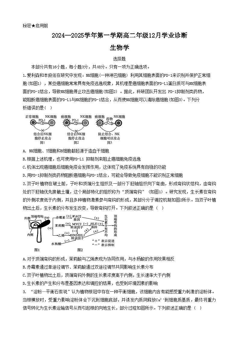 山西省太原市迎泽区太原市实验中学校2024~2025学年高二上学期12月月考生物试题第1页