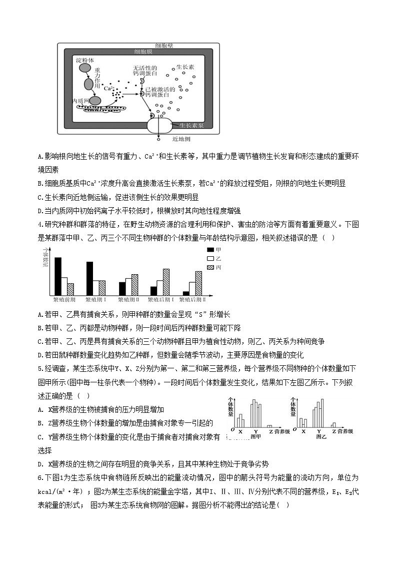 山西省太原市迎泽区太原市实验中学校2024~2025学年高二上学期12月月考生物试题第2页