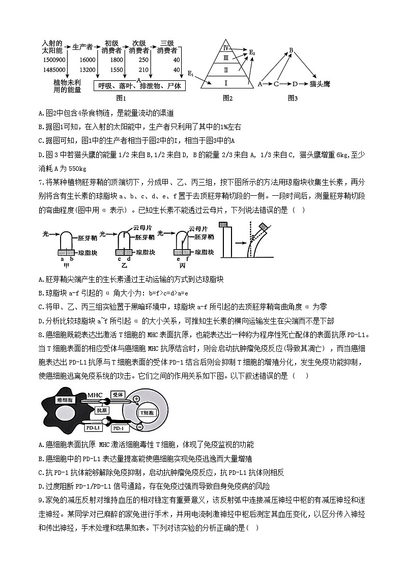 山西省太原市迎泽区太原市实验中学校2024~2025学年高二上学期12月月考生物试题第3页
