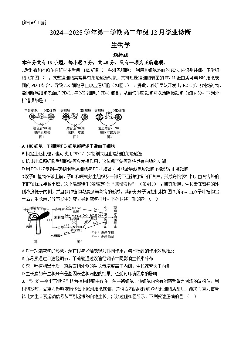 山西省太原市实验中学校2024-2025学年高二上学期12月月考生物试题第1页