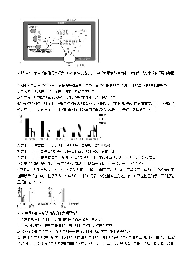 山西省太原市实验中学校2024-2025学年高二上学期12月月考生物试题第2页