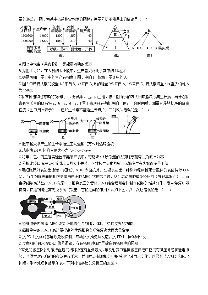 山西省太原市实验中学校2024-2025学年高二上学期12月月考生物试题第3页