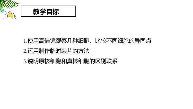 人教版 (2019) 必修1《分子与细胞》1.2细胞的多样性和统一性精品课件第2页