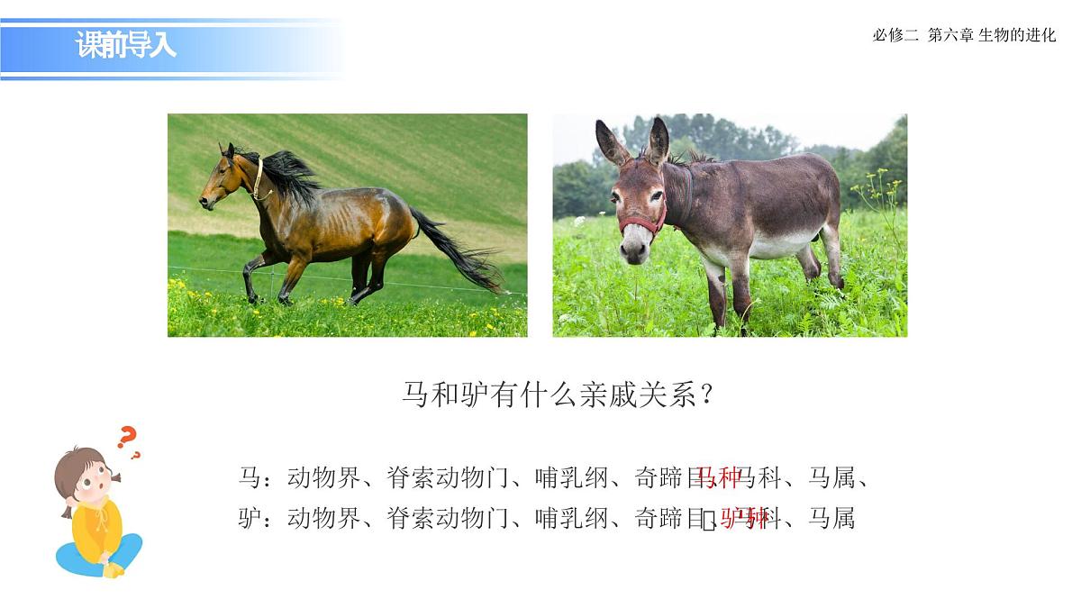 6.3.2 隔离在物种形成中的作用-课件第2页