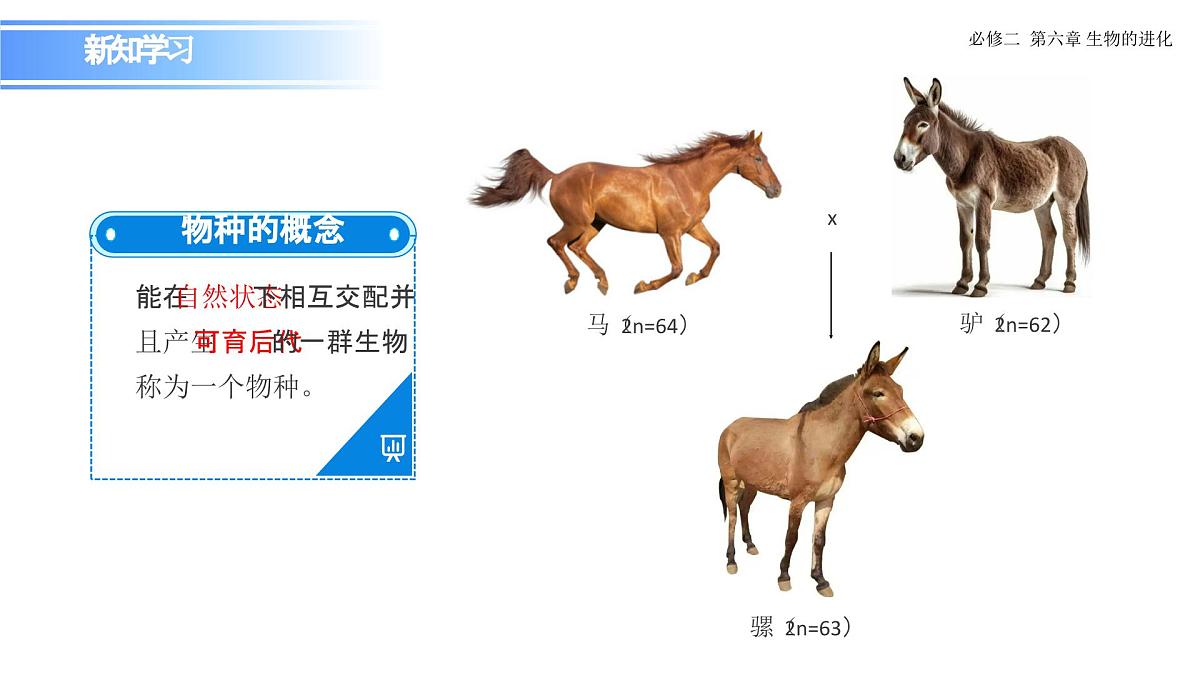 6.3.2 隔离在物种形成中的作用-课件第5页