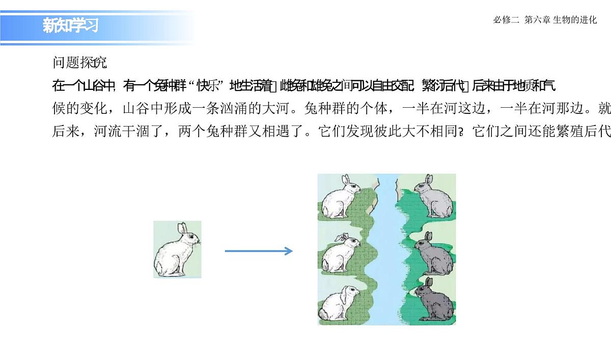 6.3.2 隔离在物种形成中的作用-课件第8页