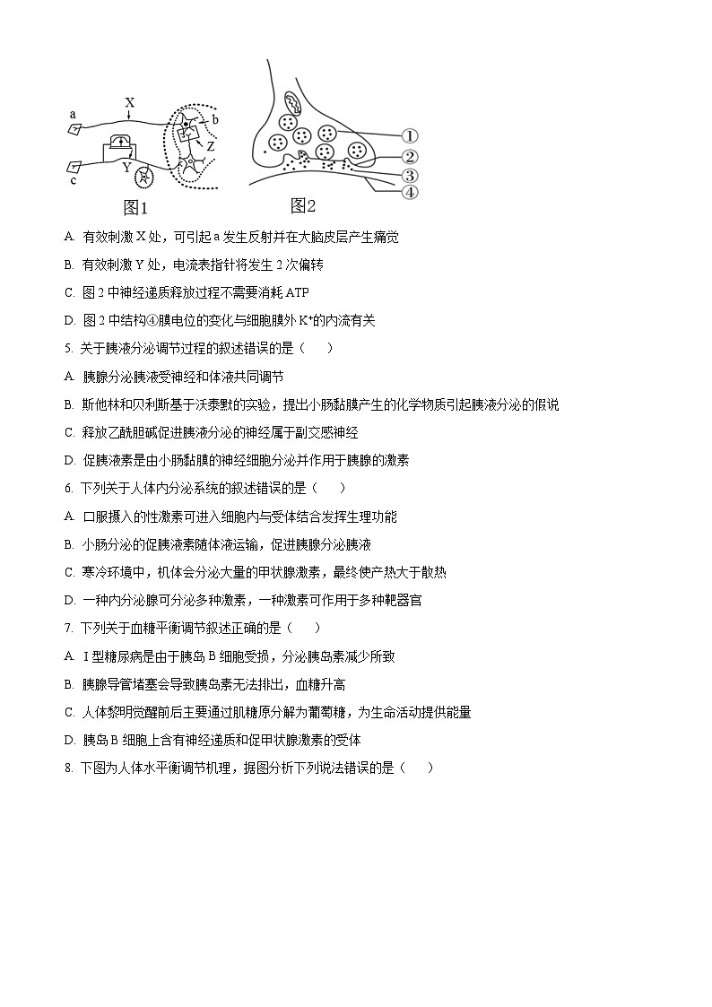 江苏省扬州市高邮市2024-2025学年高二上学期11月期中生物试题 Word版无答案第2页