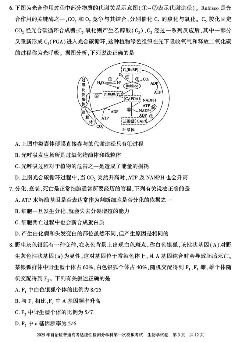 2025届新疆维吾尔自治区高三上适应性检测第一次模拟考试生物试卷(含解析)第3页