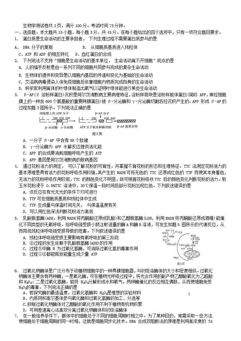 重庆市2023_2024学年高三生物上学期11月调研测试含解析第1页