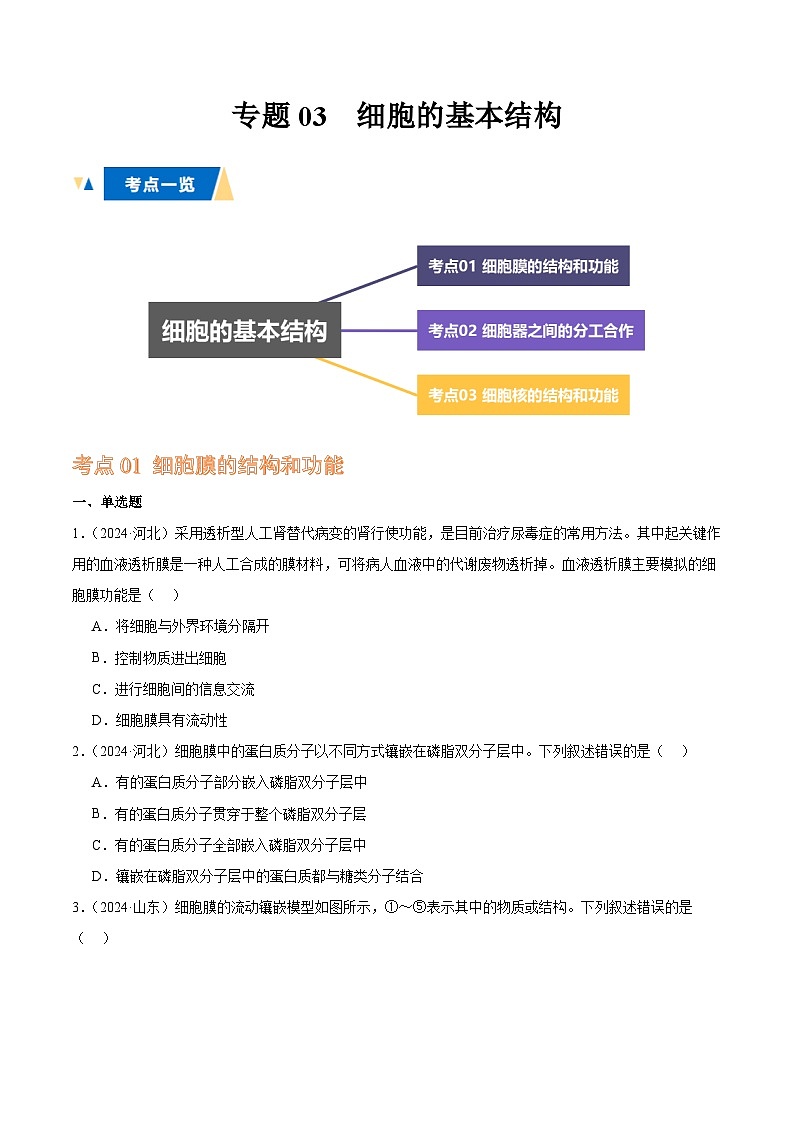 专题03 细胞的基本结构(原卷版)第1页